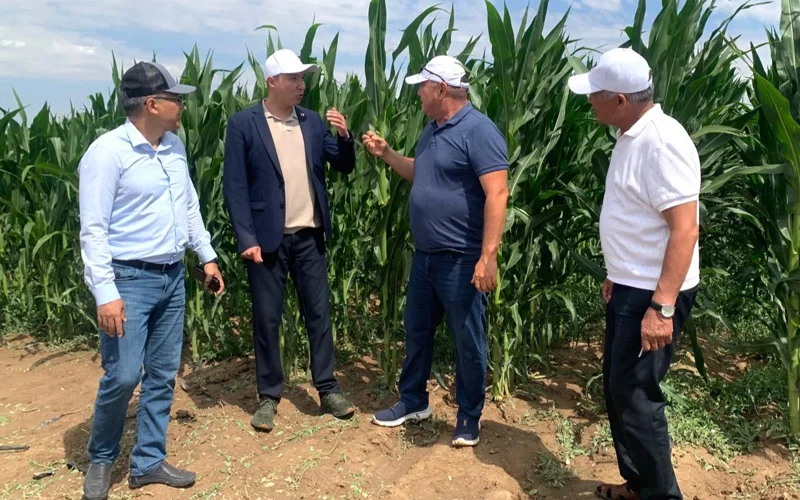 Жамбылские фермеры делают ставку на современную технику