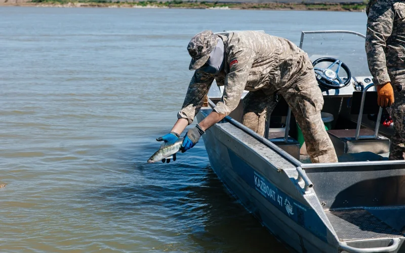 Атырауда 6 айда заңсыз балық аулағандарға 4 млн теңге айыппұл салынды