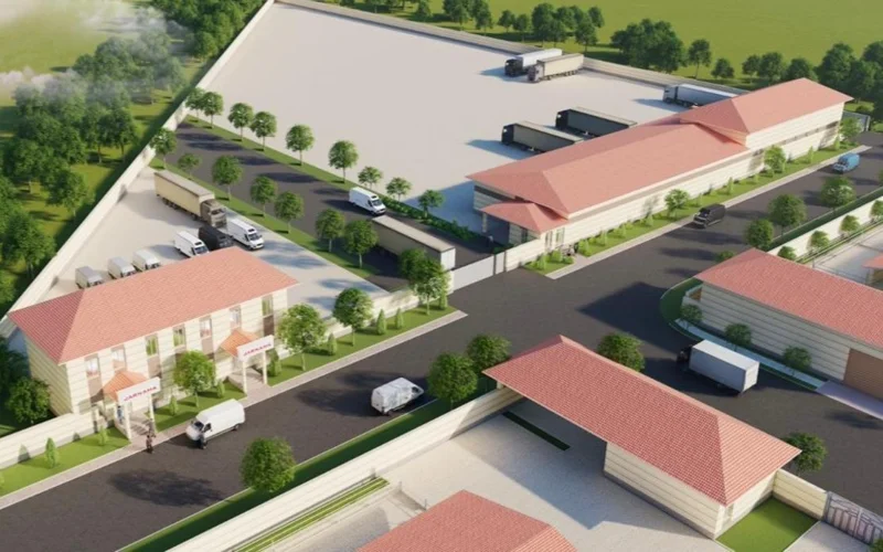 Кластер крупных откормочных площадок создадут в Туркестанской области