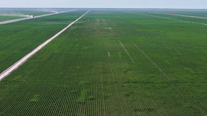 Түркістан облысында алғаш рет 32 мың гектар жерге тамшылатып суғару жүйесі енгізілді