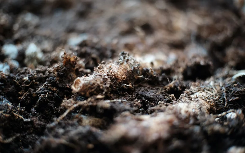 Soil moisture
