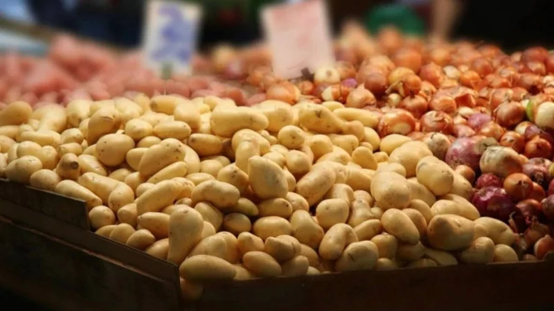 Әлеуметтік маңызы бар азық-түлік тауарлары транзитіне бақылау күшейді