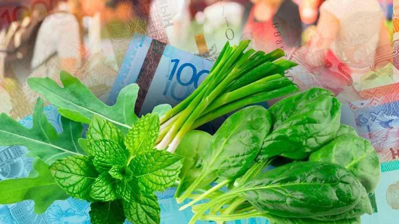 сколько стоят руккола, шпинат, мята и зелёный лук в регионах Казахстана