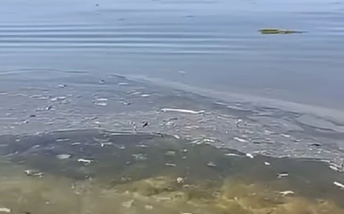 Масляные пятна и мусор обнаружили на поверхности моря в Актау