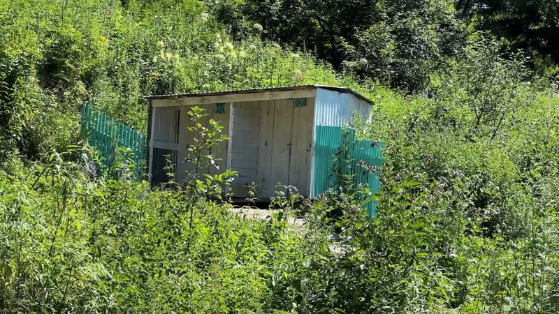 В ВКО перезагружают придорожный сервис: дороги есть, удобства — не везде В ВКО перезагружают придорожный сервис: дороги есть, удобства — не везде