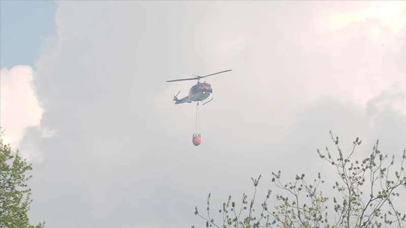 Из-за лесного пожара в нацпарке США эвакуировали 500 человек