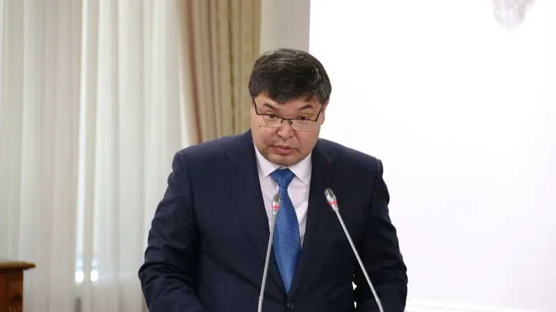 State budget revenues reach almost 11trln tenge, Finance Minister says