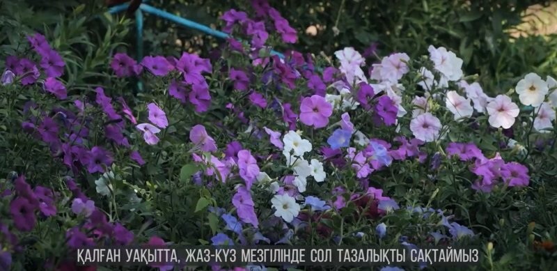 «Таза қала» в Лисаковске: жизнь в городе без мусорных контейнеров «Таза қала» в Лисаковске: жизнь в городе без мусорных контейнеров