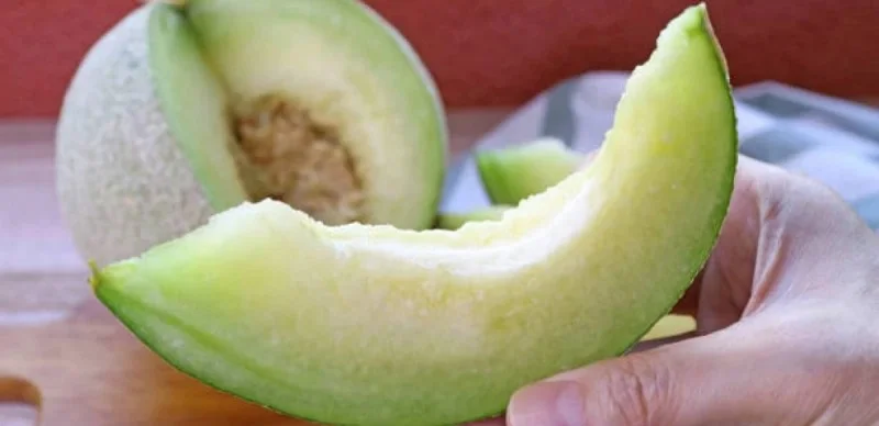 қауынның пайдасы