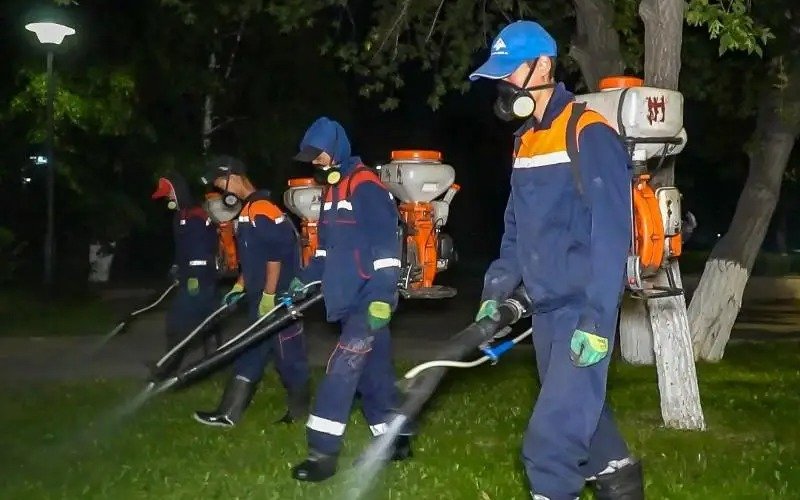 Оралда шыбын-шіркейге қарсы күресте алдын алу шаралары басталды