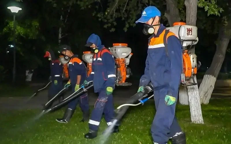 дезинсекциялық жұмыс 