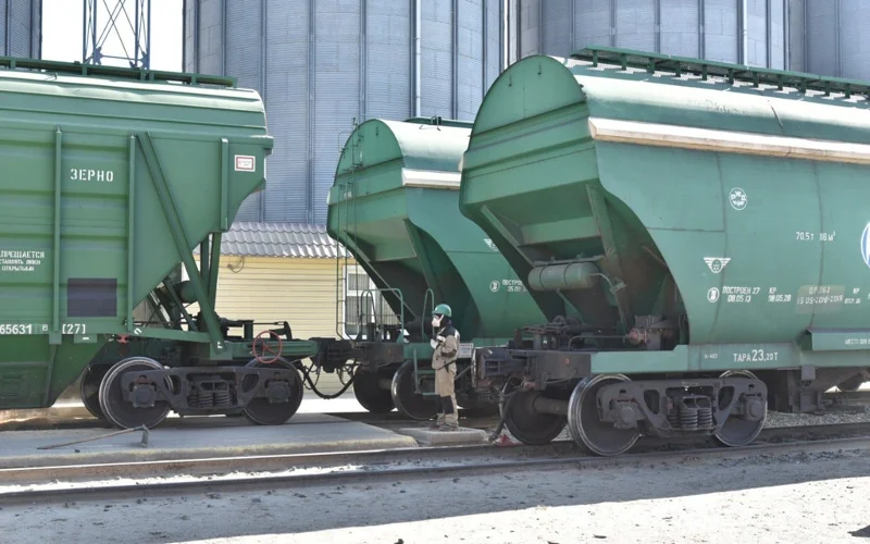 Kazakhstan exports 15,000 tons of wheat to Vietnam by railway transport