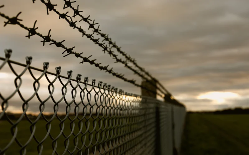  АҚШ шекарасын кесіп өту жағдайлары күрт азайды