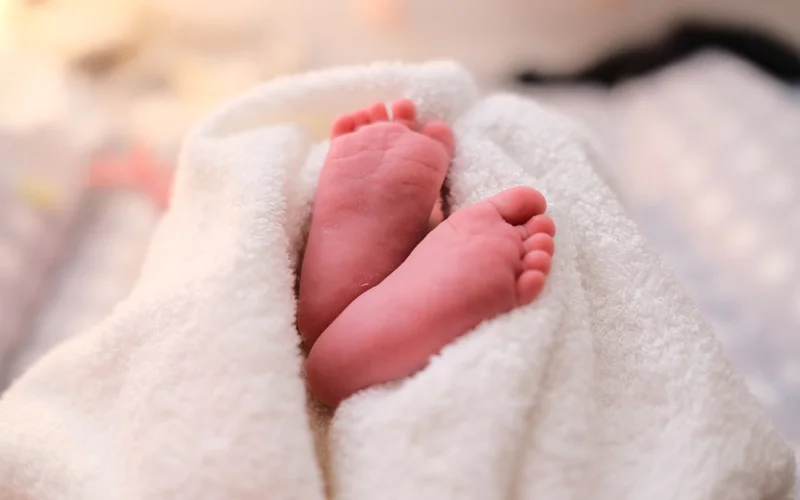 Newborn