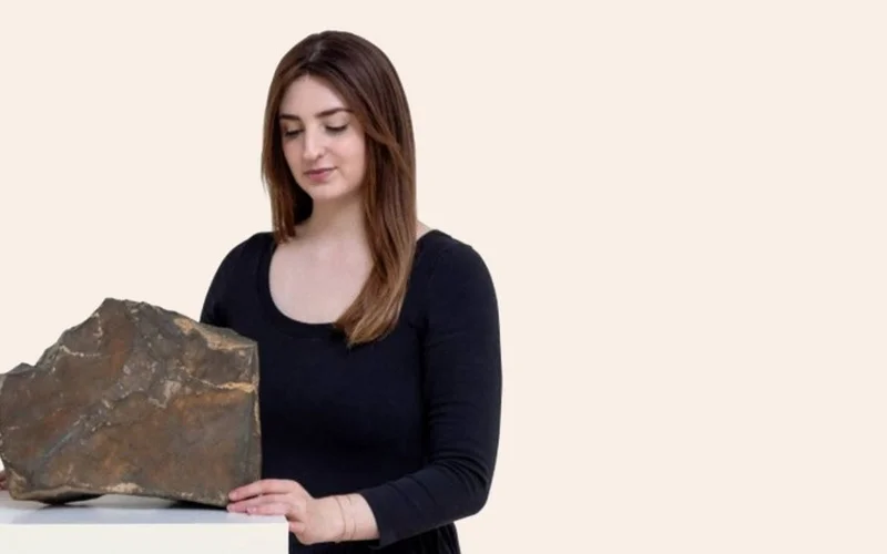 АҚШ-та Марстан құлаған ең үлкен метеорит $5 млн долларға сатылды