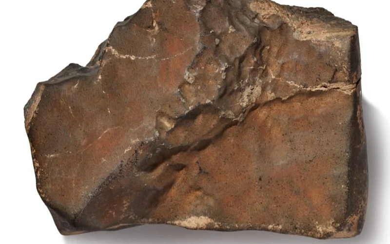 Крупнейший марсианский метеорит продали на торгах за 5,3 млн долларов