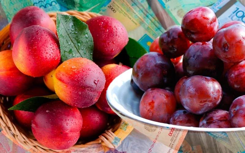 Индекс цен на фрукты: сколько стоят слива и нектарин в регионах Казахстана