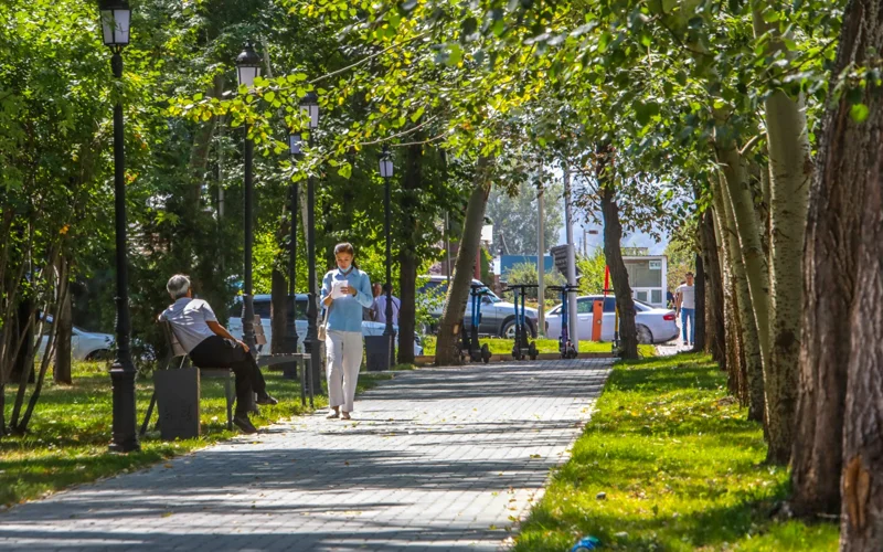 лето, погода, природа, цветы, тюльпаны, ботанический сад, парк