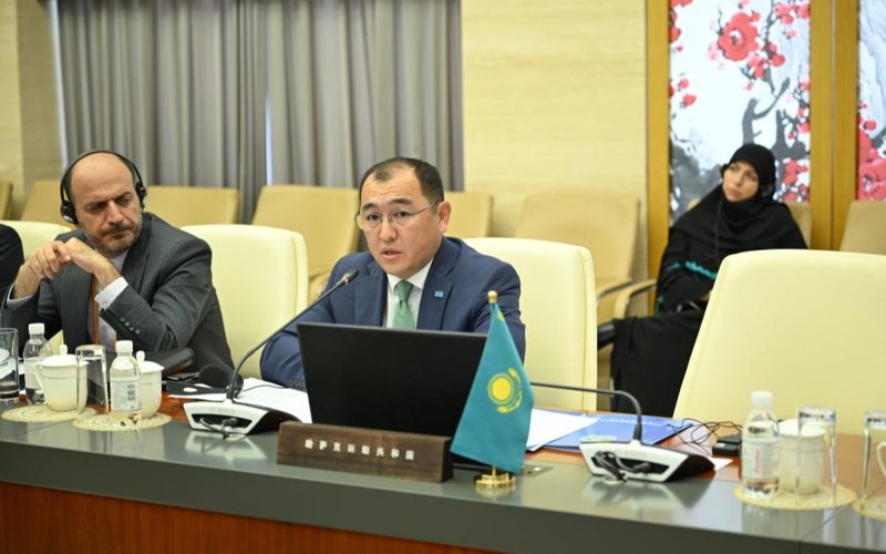 SCO foreign ministries' spokespersons meet in Beijing for consultations SCO foreign ministries' spokespersons meet in Beijing for consultations