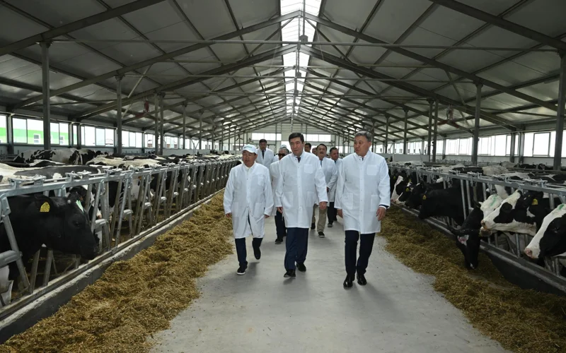 Председатель Мажилиса ознакомился с инвестиционными проектами в Карагандинской области