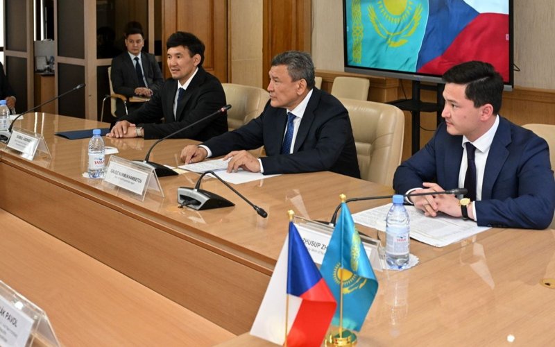 СҚО-ға Чехиядан Пржевальский жылқыларын әкелу мәселесі қаралып жатыр