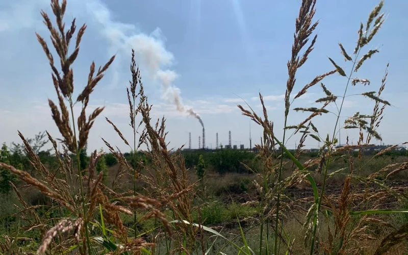 Химпром, отвалы и воздух: экологическая ситуация в Жамбылской области