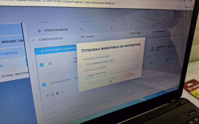 Как в Карагандинской области контролируют безопасность мяса Как в Карагандинской области контролируют безопасность мяса