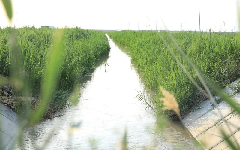 су, канал, суғару