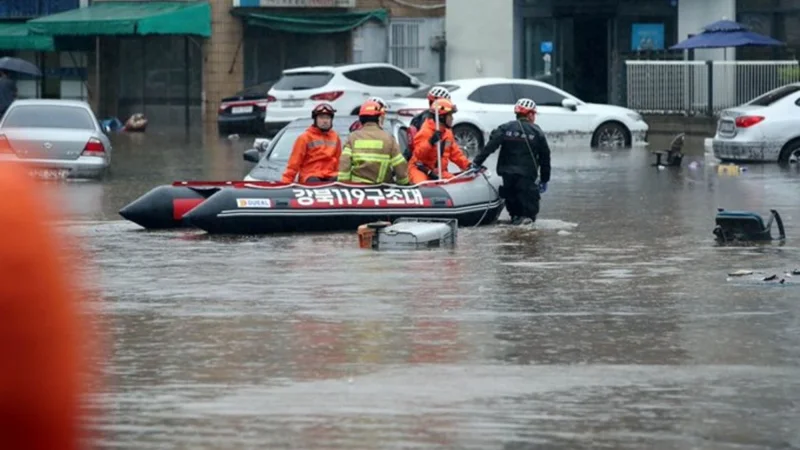 14 человек погибли, 12 пропали без вести из-за ливней в Южной Корее