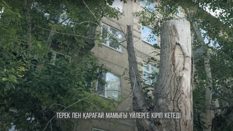 «Таза қала» в Житикаре: как выглядит город сегодня «Таза қала» в Житикаре: как выглядит город сегодня