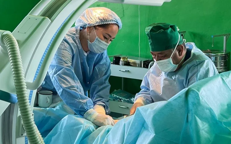 Qyzylordada quny 1,6 mln teńge bolatyn ota tegin jasalady