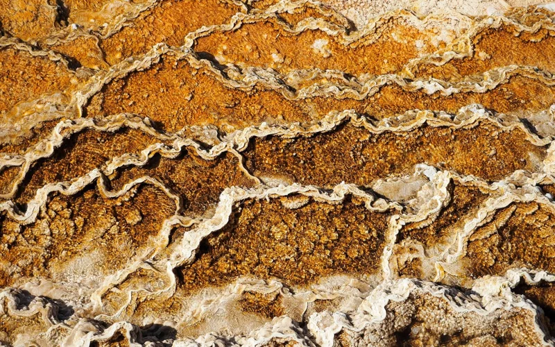 Sandstone-type uranium mineralization