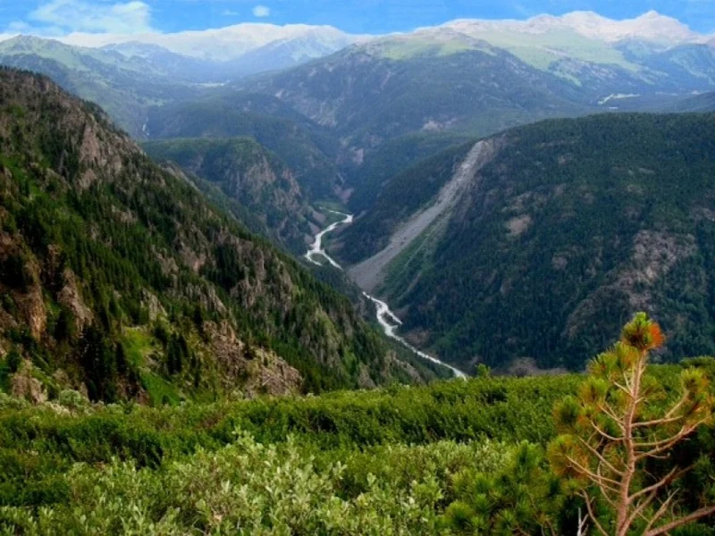 Алтай