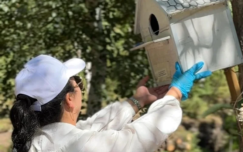 «Таза Қазақстан» в области Улытау: от уборки до чтения стихов