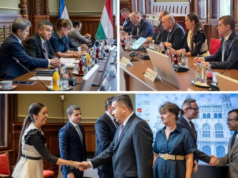 Uzbekistan and Hungary develop cooperation in cybersecurity