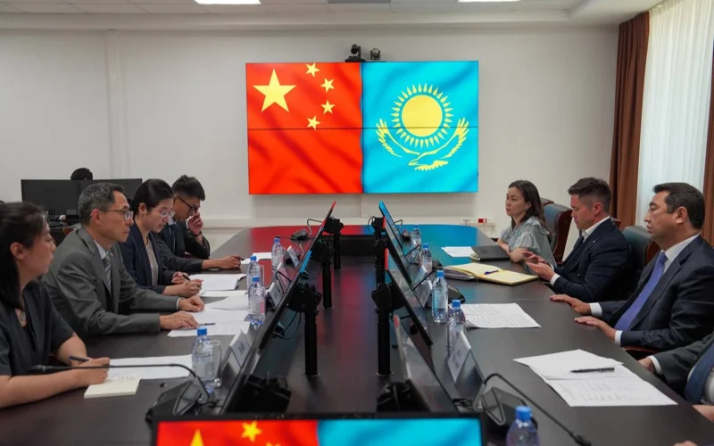 Қазақстанның ауыл шаруашылығы өнімінің Қытайға экспорты 35% артты 