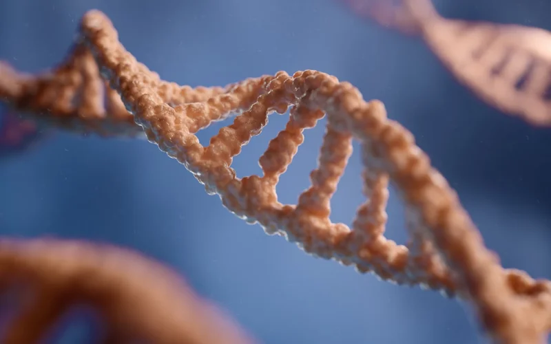 DNA