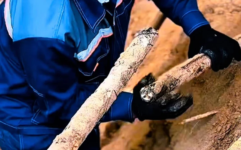 Электросети не выдержали жары в Шымкенте