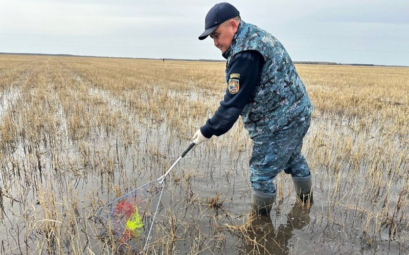 Более 34,5 млн мальков рыбы спасли в Жайык-Каспийском бассейне Более 34,5 млн мальков рыбы спасли в Жайык-Каспийском бассейне