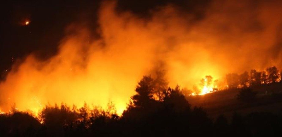 Жапониядағы орман өрті: мыңдаған адам үйін тастап кетті