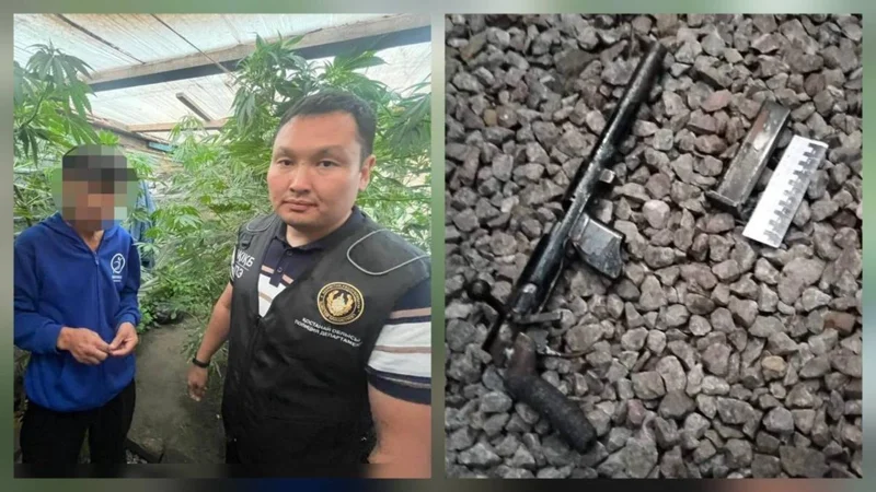 Сельчанин задержан за выращивание марихуаны в Костанайской области