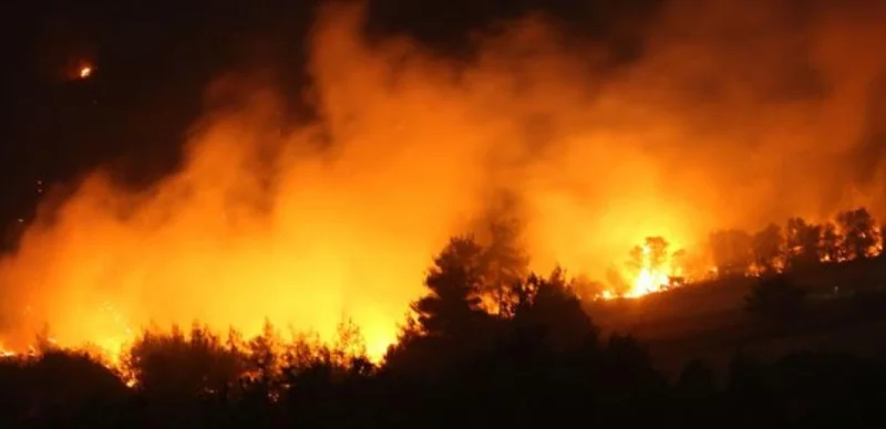 В Турции проводят экспертизу останков погибших при тушении лесных пожаров