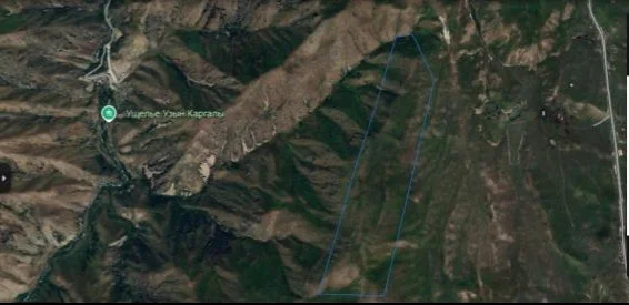 «Үшқоңыр» резиденциясы маңындағы 50 мың гектар жер телімі аукционға шығарылды