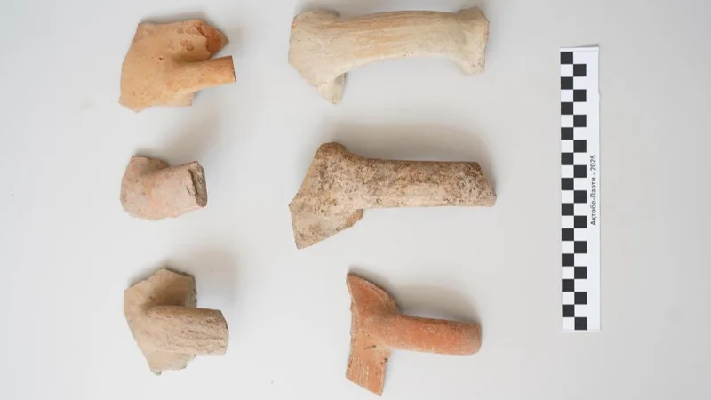 «Ақтөбе-Лаэти» қалашығынан сирек кездесетін көне күміс тиындар табылды