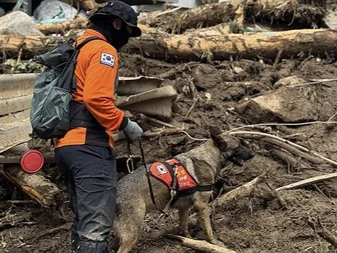 Death toll rises to 23 after heavy rains, landslides in S. Korea