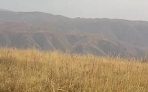 Úkimet jumys istep turǵan sharýa qojalyqtardyń jerin lızıngke satý usynysyn qoldamady 