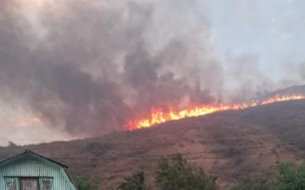 В горах Алматинской области потушили загоревшуюся сухую траву