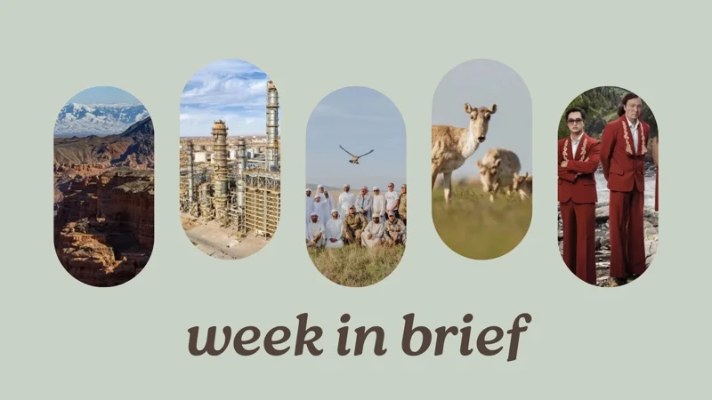 Week in Brief