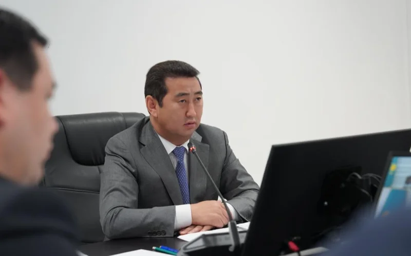 Aýyl sharýashylyǵy salasyna ınvestıtsııa artyp keledi: 683 joba iske asyrylmaq