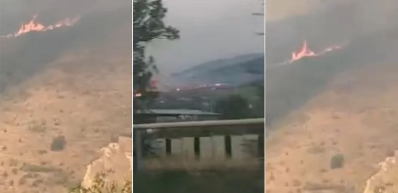 Almaty mańyndaǵy taýly aımaqta qurǵaq shóp órtendi 